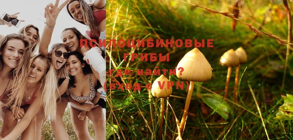 каннабис Алексеевка